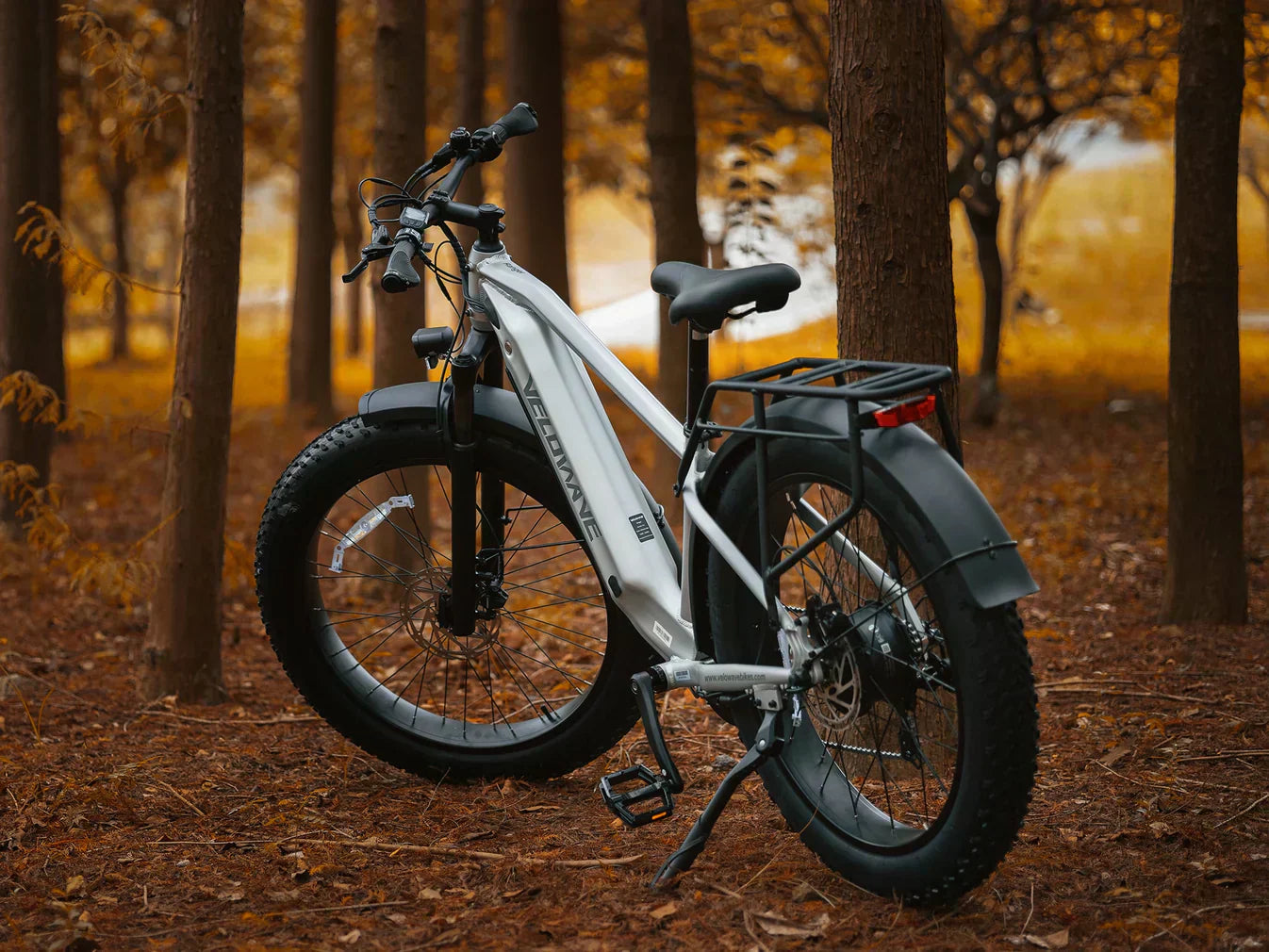 cost of Electric Bikes