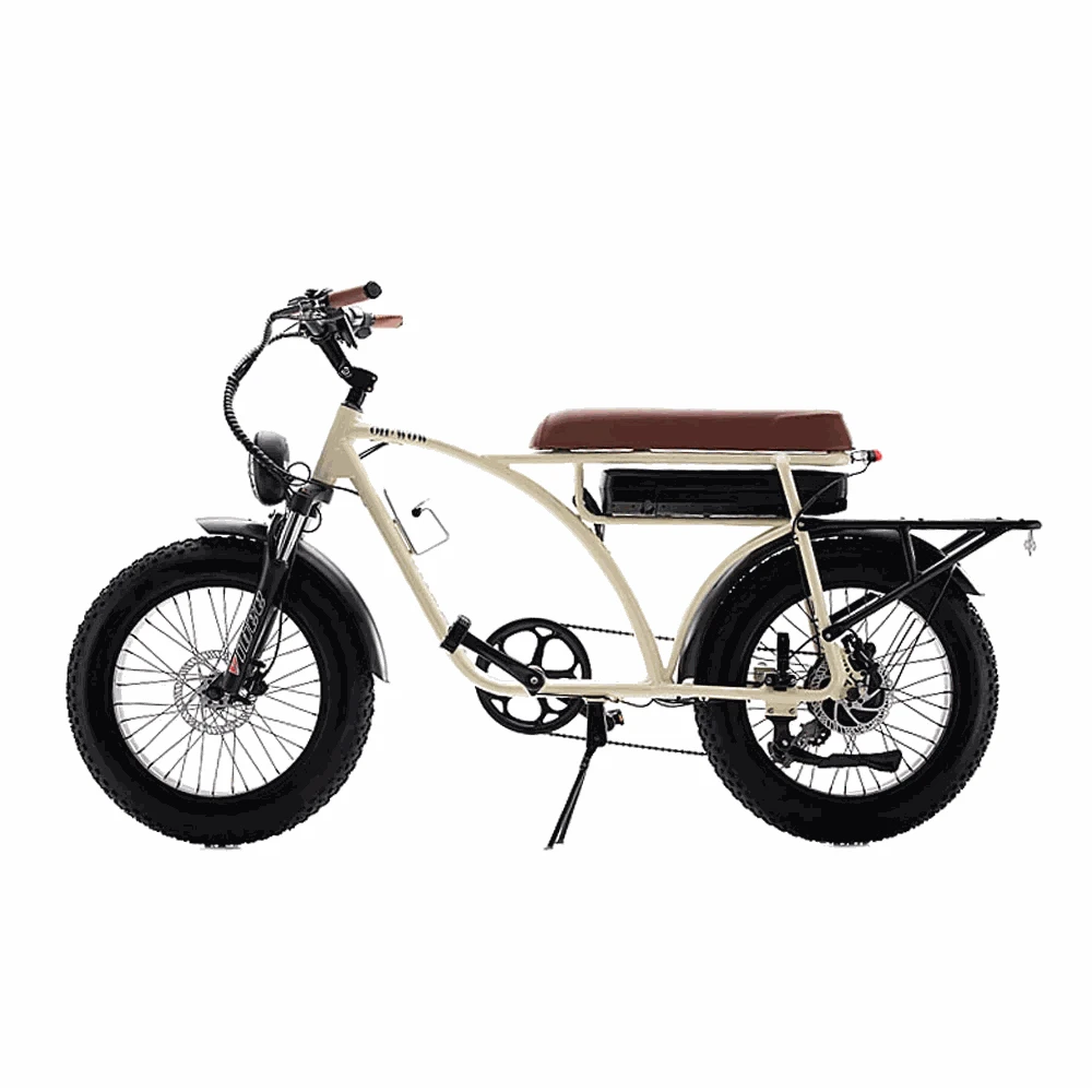 OH WOW Voltaic 750 W Moped Style Electric Bike