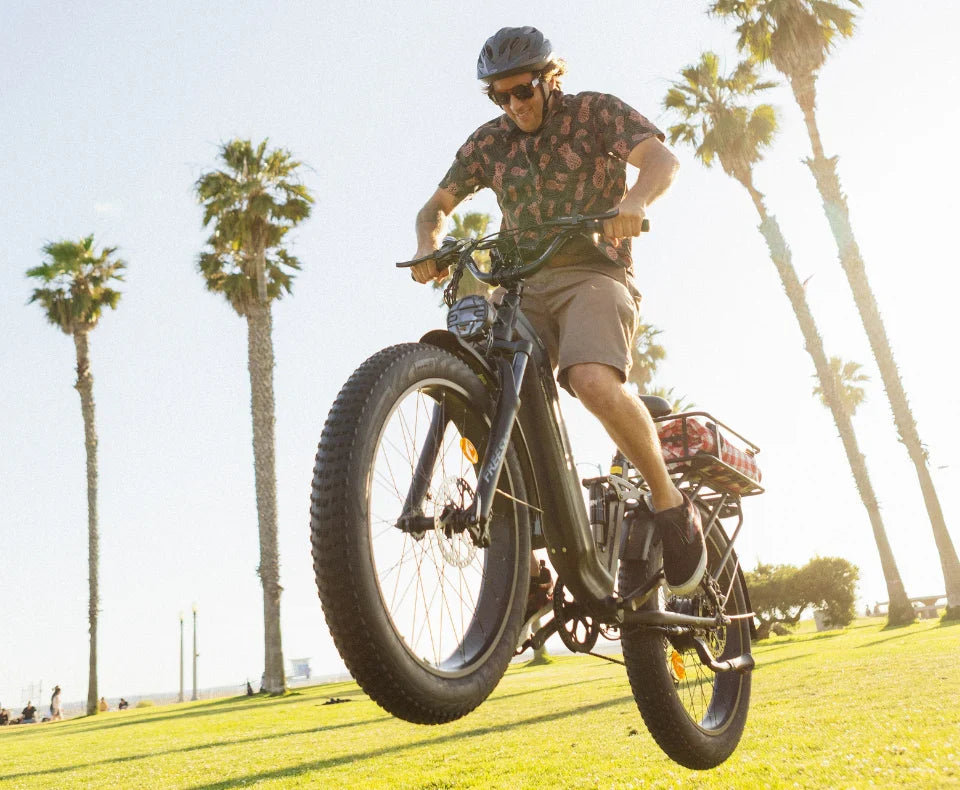 Electric bike with durable fat tires designed for enhanced off-road performance and superior traction.