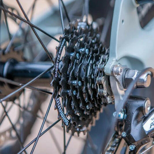 Electric moped and e-bike designed for efficient commuter transportation with eco-friendly performance