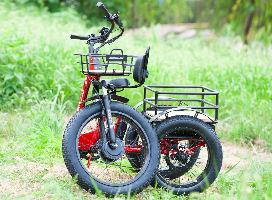 EMOJO BISON PRO Electric Trike/Tricycle