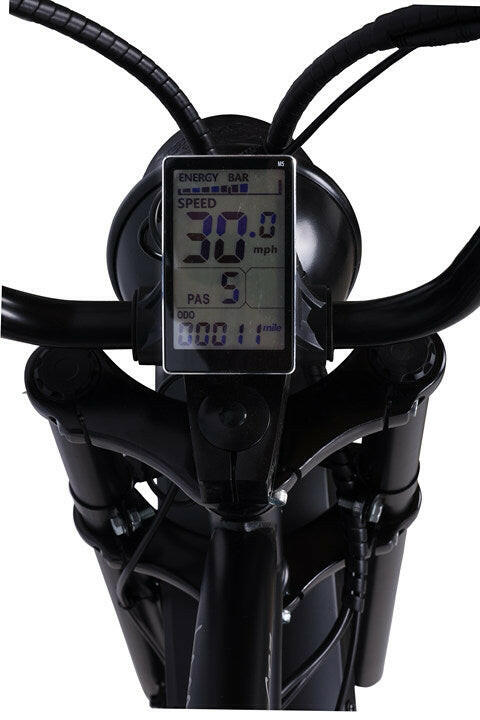 Electric Cruiser Bike