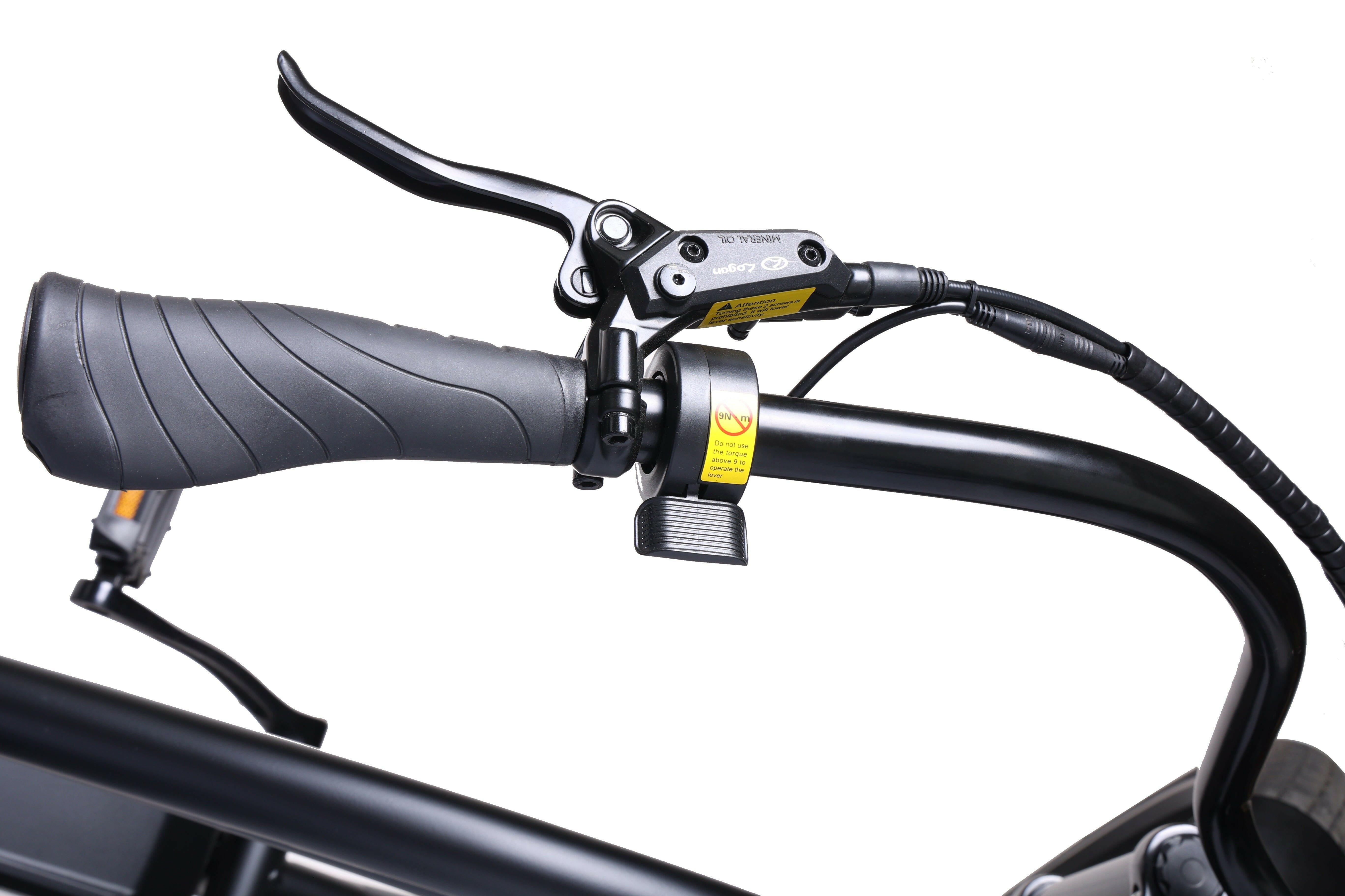Electric Cruiser Bike