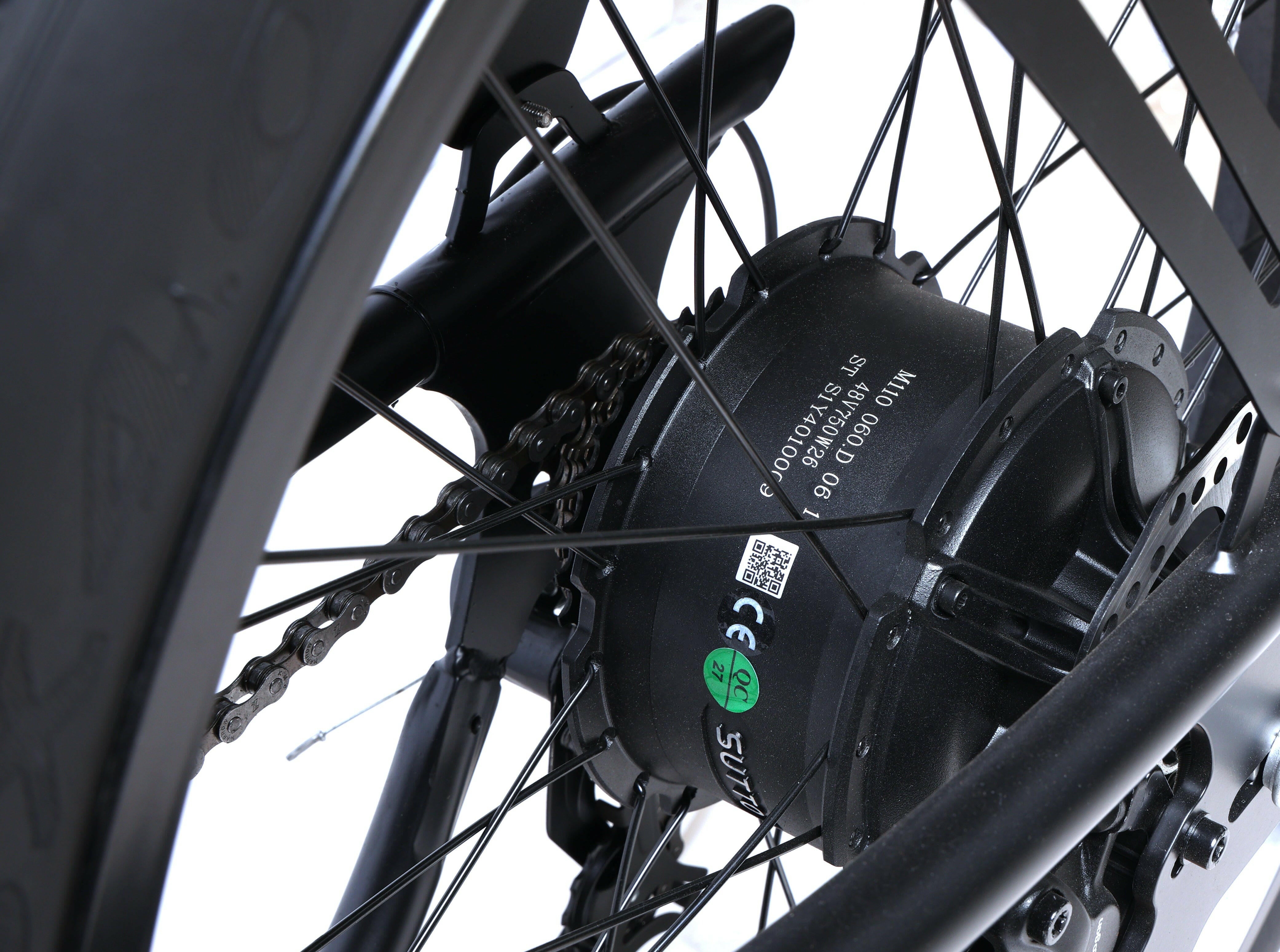 Electric Cruiser Bike