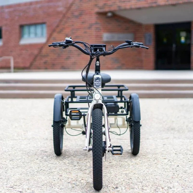 Electric Tricycle designed for efficient cargo transport, ideal cargo trike solution for urban delivery and eco-friendly logistics.