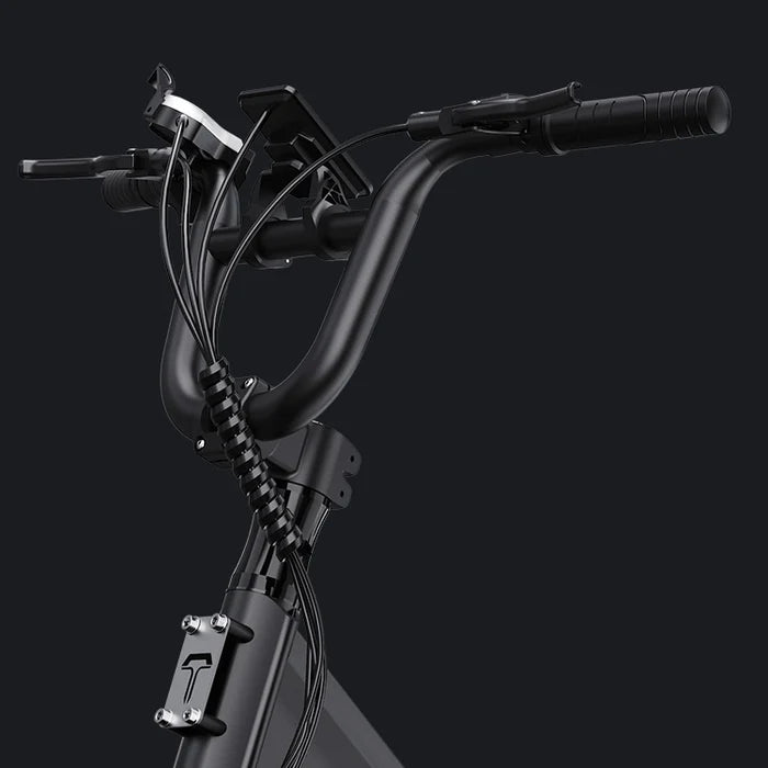 TESWAY X5 PRO Step Thru Cargo E-Bike | Family Friendly