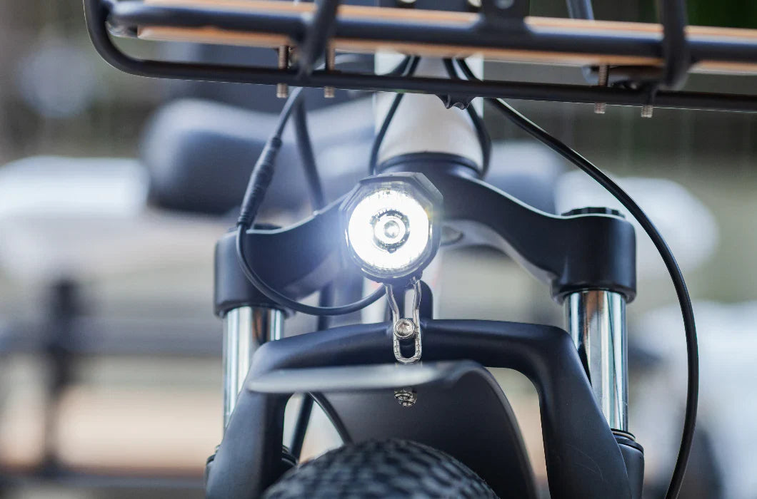 EMOJO BISON PRO Electric Trike/Tricycle