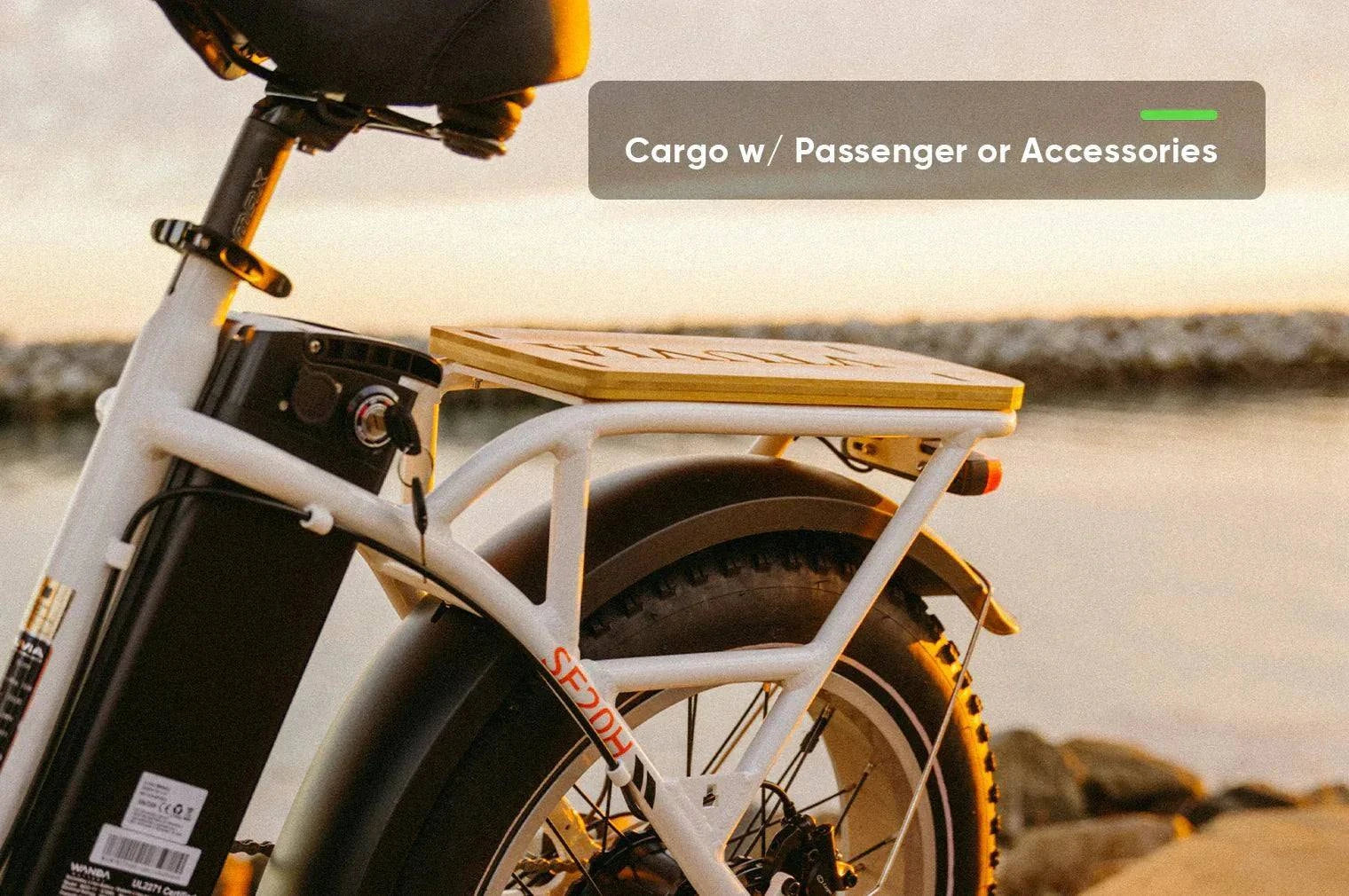 Folding E-Bike
