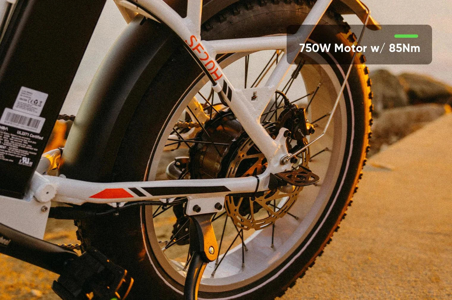 Folding E-Bike