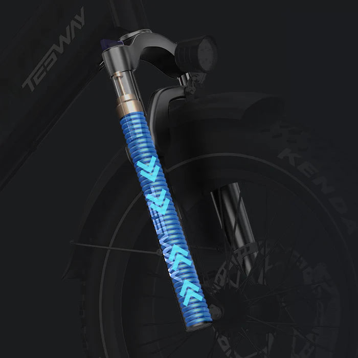 TESWAY X5 PRO Step Thru Cargo E-Bike | Family Friendly