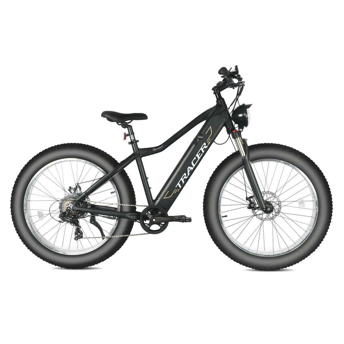Full Suspension E bike