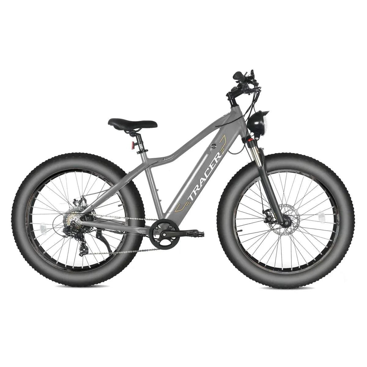 Full Suspension E bike
