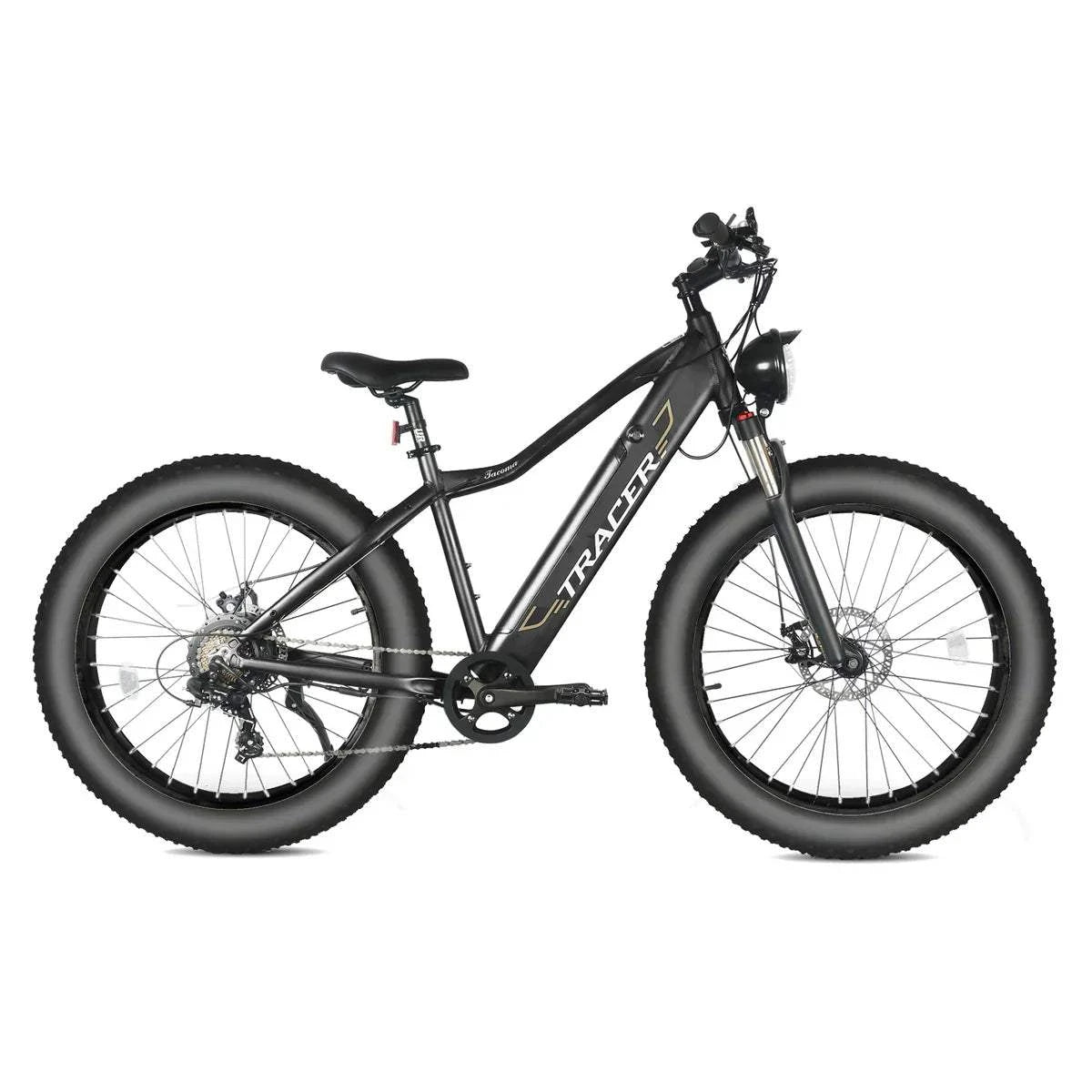 Full Suspension E bike