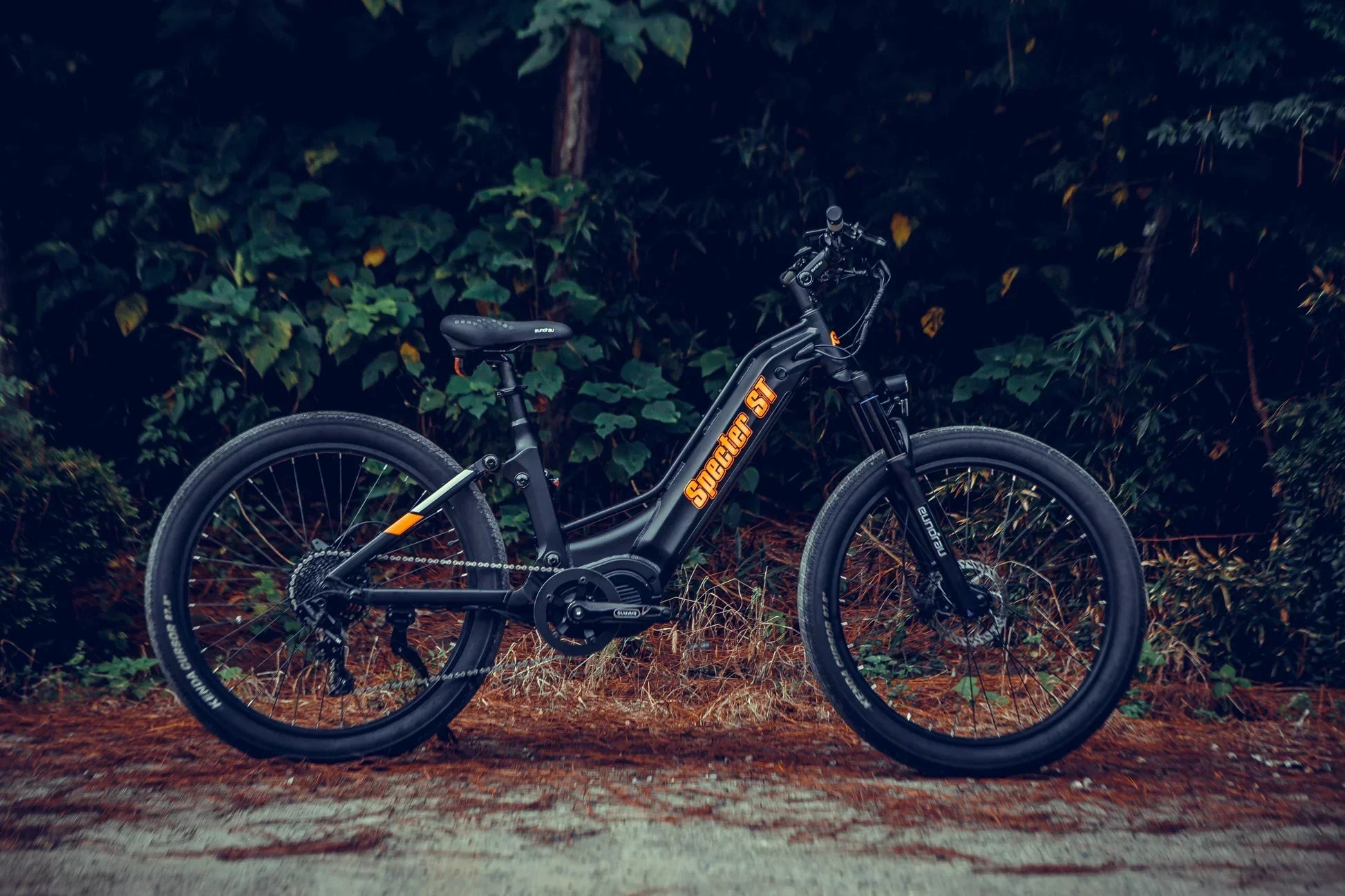 fat tire electric bike