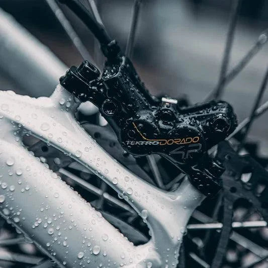 Electric Mountain Bike