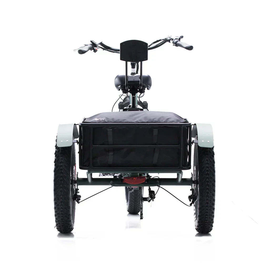 OH WOW CONDUCTOR Electric Cargo Trike | 750W
