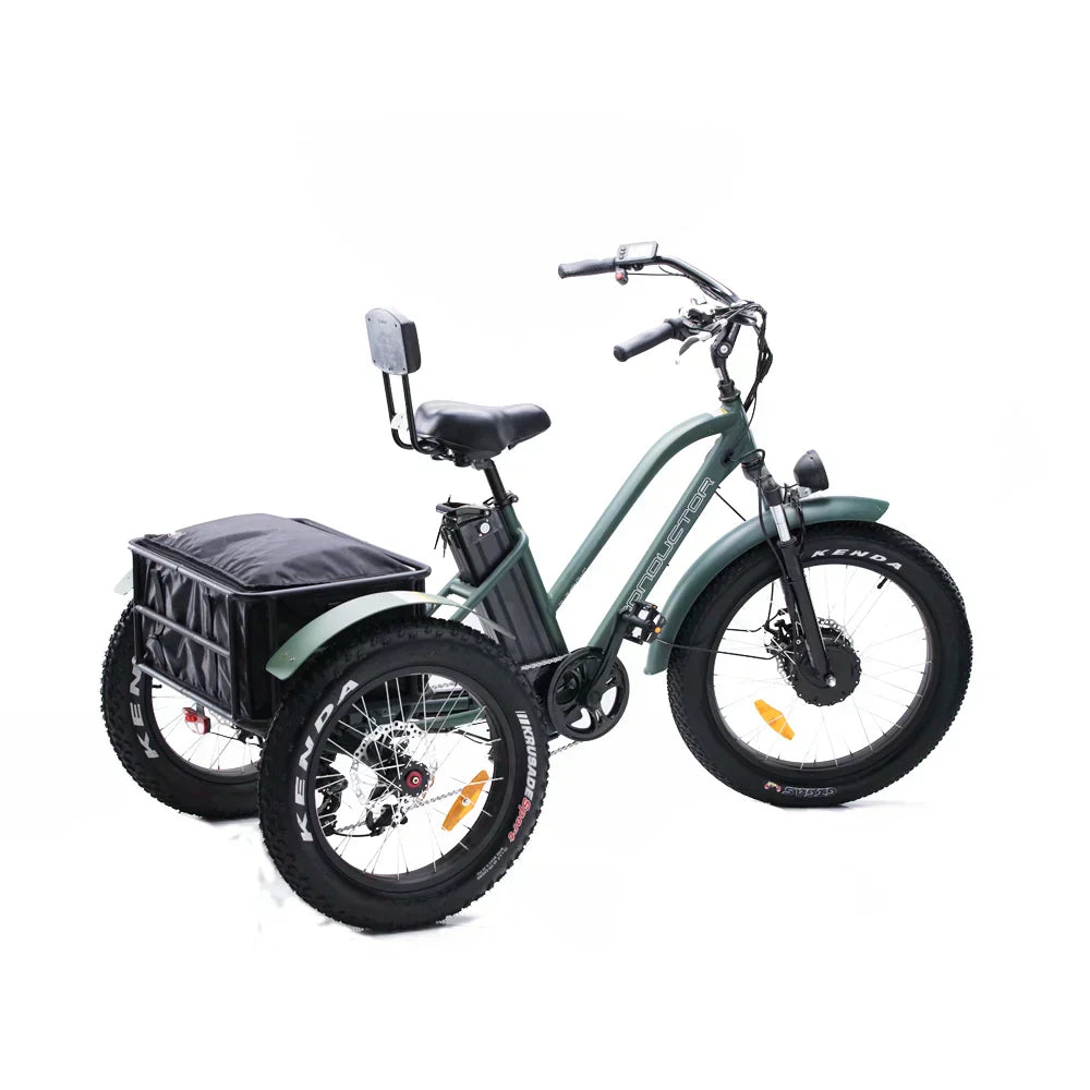 OH WOW CONDUCTOR Electric Cargo Trike | 750W