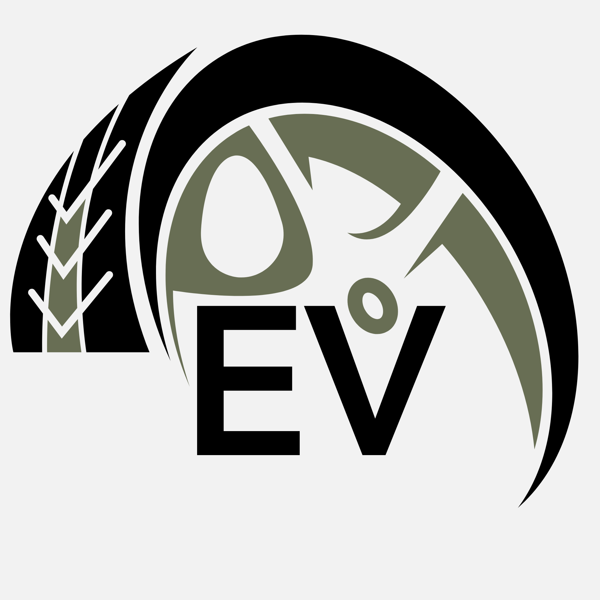 E bike