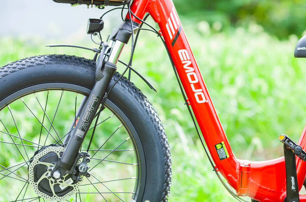 EMOJO BISON PRO Electric Trike/Tricycle