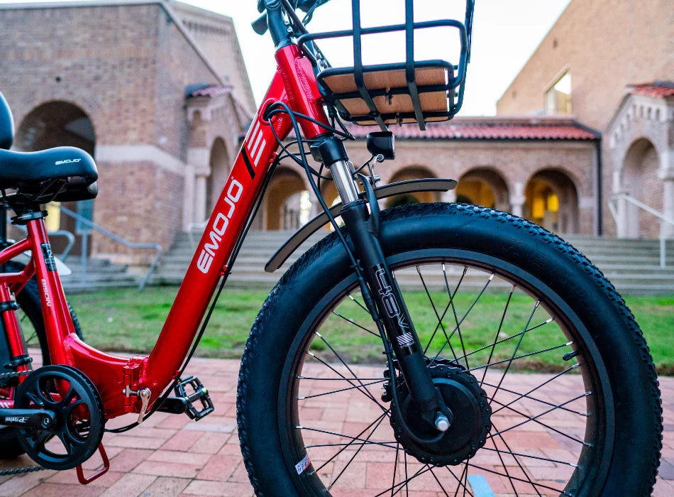 EMOJO BISON PRO Electric Trike/Tricycle