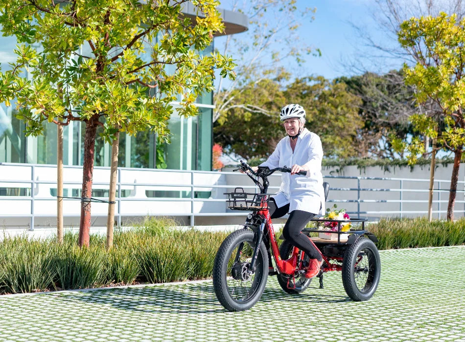 EMOJO BISON PRO Electric Trike/Tricycle