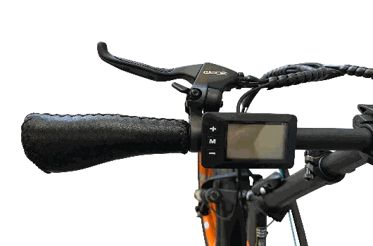 Folding Ebike 750W Step Thru Electric Bike for Urban Commuting and Easy Storage