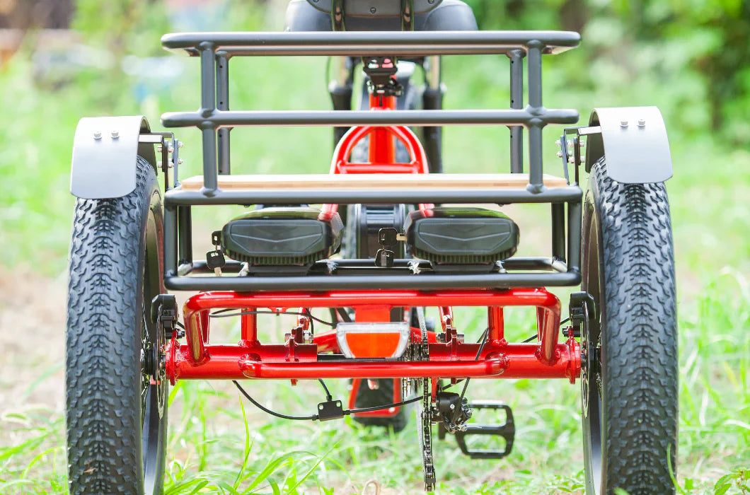 EMOJO BISON PRO Electric Trike/Tricycle