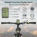 Full Suspension E bike
