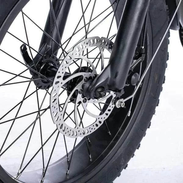 OH WOW Voltaic 500W Moped Style E-Bike