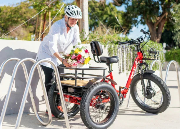 E-Trikes for Business