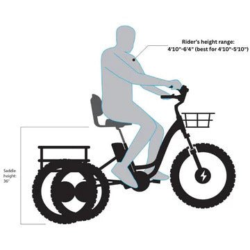 EMOJO 500W BISON S Cargo Electric Trike/Tricycle