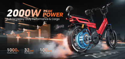 TESWAY X5 PRO Step Thru Cargo E-Bike | Family Friendly