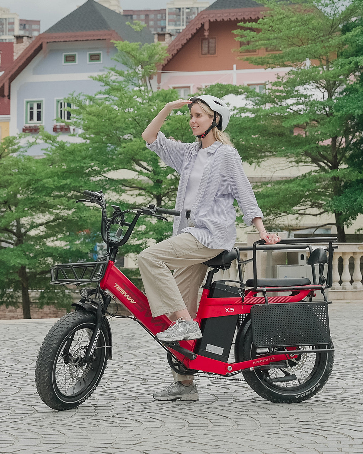 TESWAY X5 PRO Step Thru Cargo E-Bike | Family Friendly