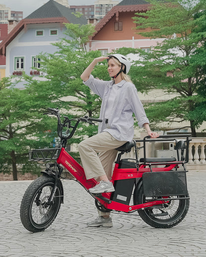 TESWAY X5 PRO Step Thru Cargo E-Bike | Family Friendly