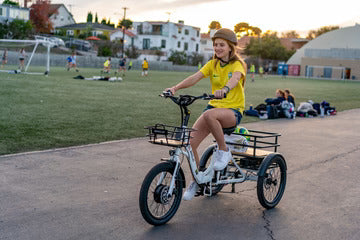 EMOJO 500W BISON S Cargo Electric Trike/Tricycle
