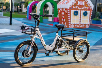 EMOJO 500W BISON S Cargo Electric Trike/Tricycle