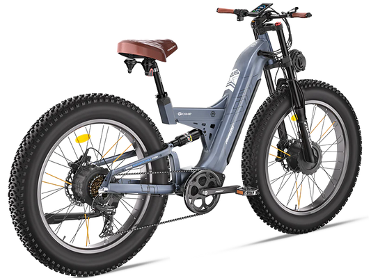 FREESKY CYCLE WARRIOR PRO M-530 Dual-motor all terrain Electric Bike