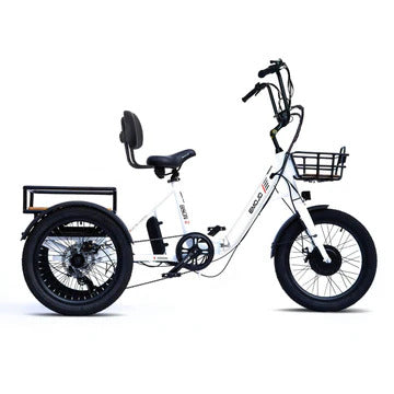EMOJO 500W BISON S Cargo Electric Trike/Tricycle