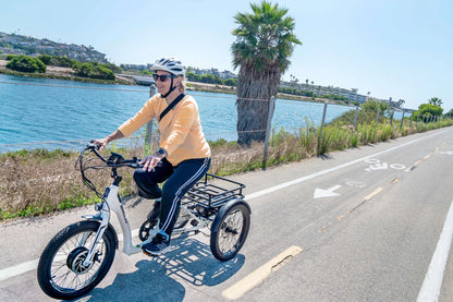 EMOJO BULL Premium Electric Tricycle/Trike 500W 65 Miles!