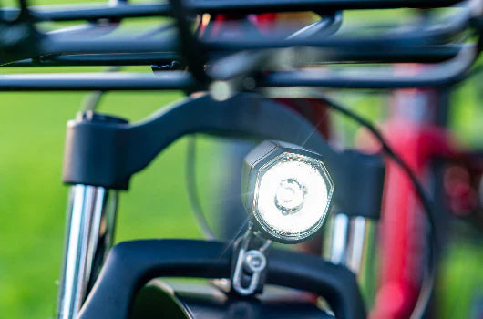 EMOJO CADDY PRO URBAN CRUISER Step Thru Electric Tricycle/Trike Door Dash Uber Eats Passenger Seat Storage