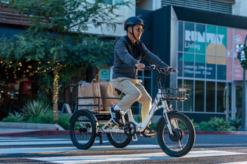 EMOJO 500W BISON S Cargo Electric Trike/Tricycle