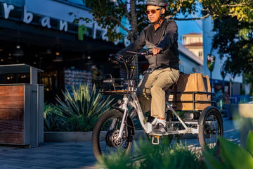 EMOJO 500W BISON S Cargo Electric Trike/Tricycle