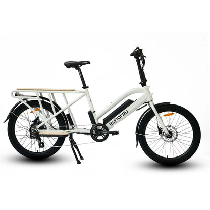 Electric Cargo Bike