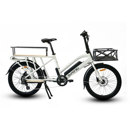 Electric Cargo Bike