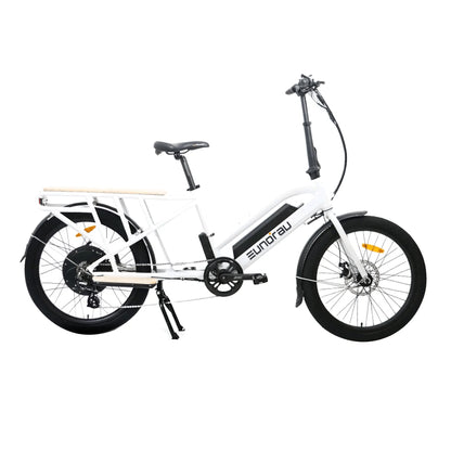 Electric Cargo Bike
