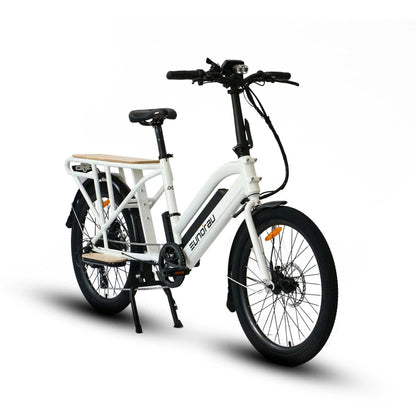 Electric Cargo Bike