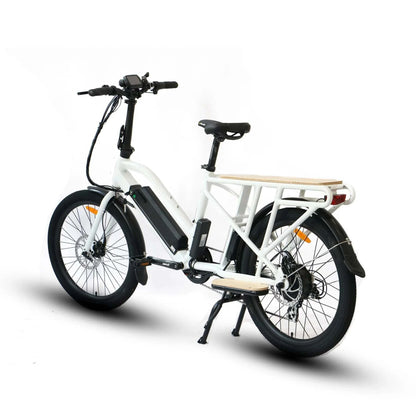 Electric Cargo Bike