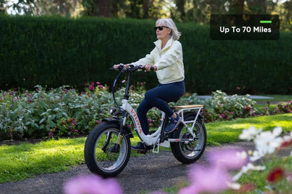 Folding E-Bike