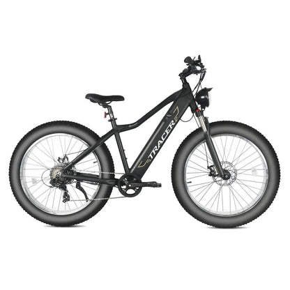 Full Suspension E bike