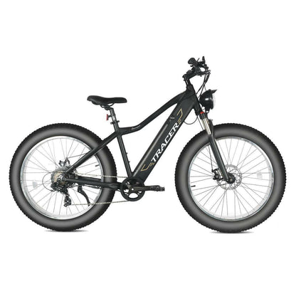 Full Suspension E bike